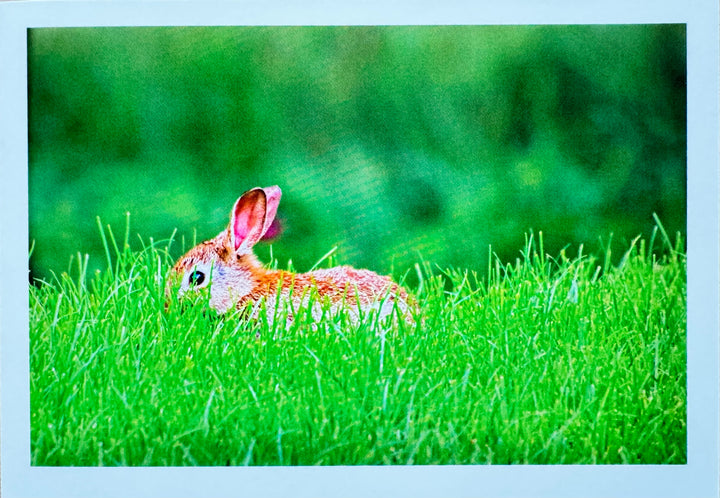 FOTO  Klappkarte von Liane Metzger