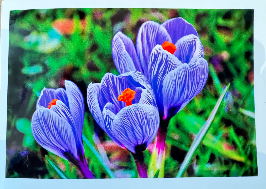 FOTO  Klappkarte von Liane Metzger
