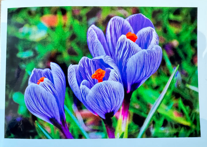 FOTO  Klappkarte von Liane Metzger