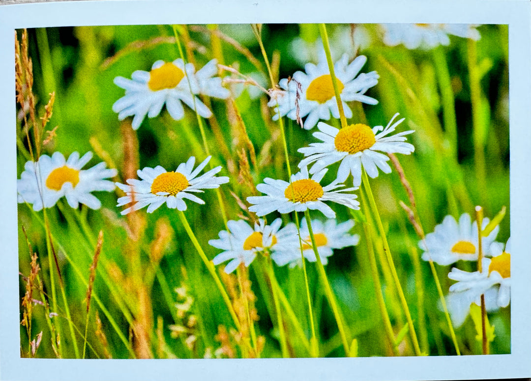 FOTO  Klappkarte von Liane Metzger
