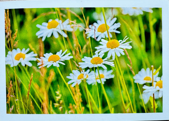 FOTO  Klappkarte von Liane Metzger